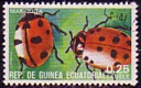 aequatorial-guinea.jpg