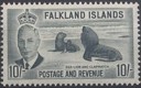 falkland-inseln_nr114.jpg