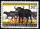 kongo-kinshasa.jpg