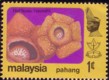 malaysia_pahang.jpg