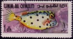 umm_al_qiwain.jpg